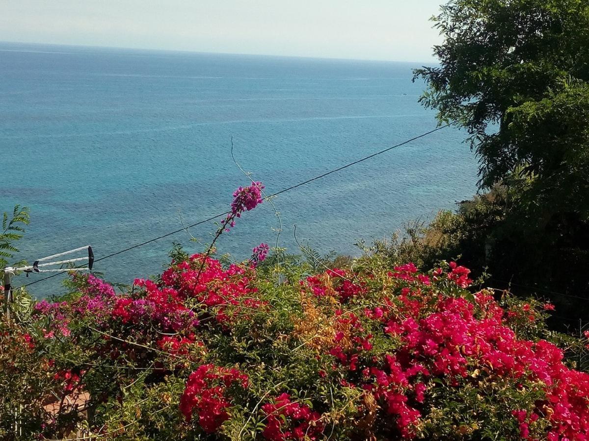 Casolare Al Porto Ξενοδοχείο Tropea Εξωτερικό φωτογραφία
